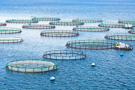 鱼类养殖设备