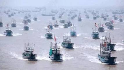 中国渔船在南非非法捕捞?真相是…